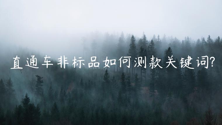 直通車(chē)非標(biāo)品如何測(cè)款關(guān)鍵詞?